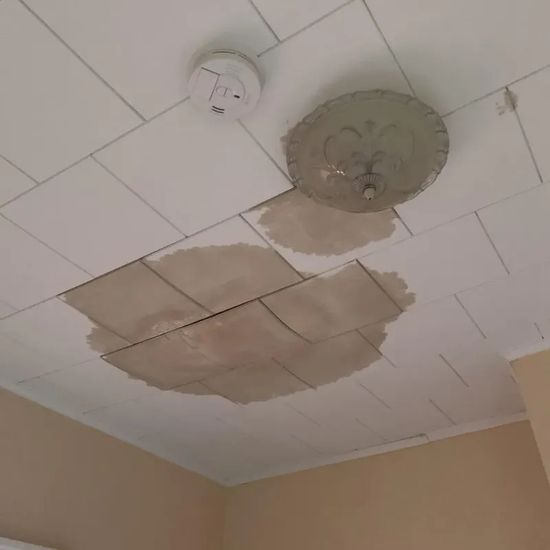 Ceiling Water Damage Repair in Navy Yard City, WA