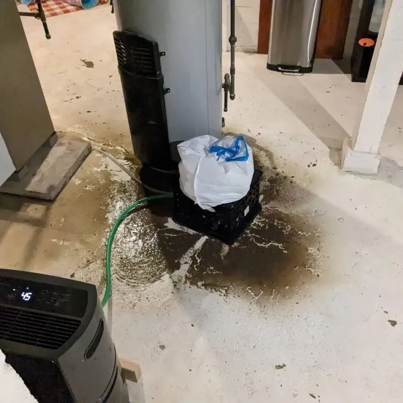 Sewage Backup Cleanup Service in Navy Yard City, WA